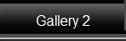 Gallery 2